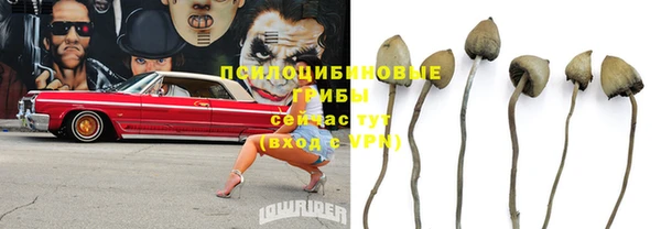 дмт Арсеньев