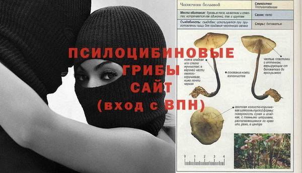 дмт Арсеньев