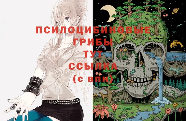 ГАЛЛЮЦИНОГЕННЫЕ ГРИБЫ Армянск