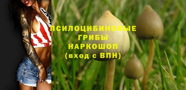 дмт Арсеньев